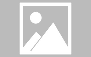 郯城广州专业搭建网站平台（广州网站建设方案开发）